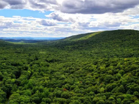 Rothrock State Forest
