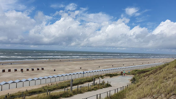 View Point