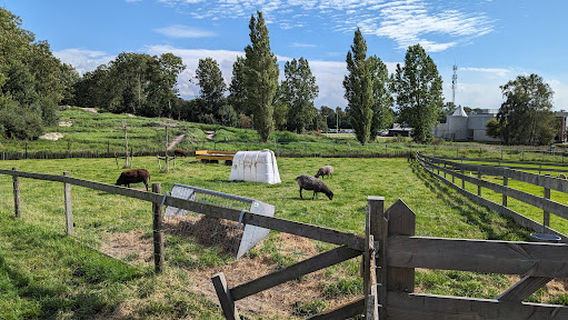 Alliade - Kinderboerderij Anna Zijlstra Hoeve