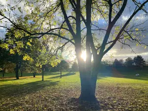 Wittlich Park