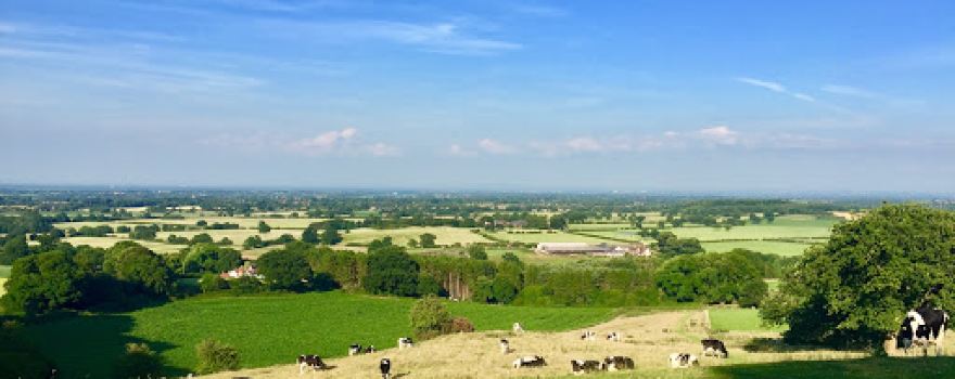 Yew Tree Farm Caravan & Motorhome CL Site