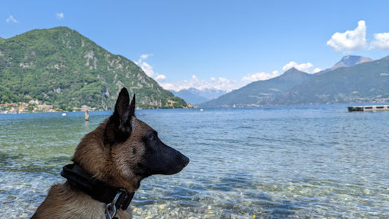 Menaggio
