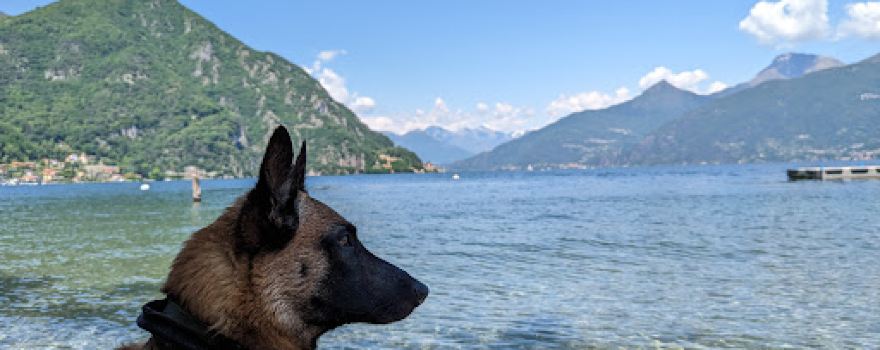 Camping Europa Menaggio