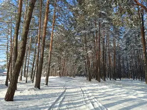 Manevytsʹkyy Park