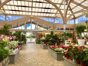 botanic Villechétif