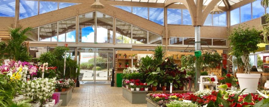 botanic Villechétif