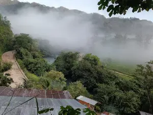 Cacao Tour