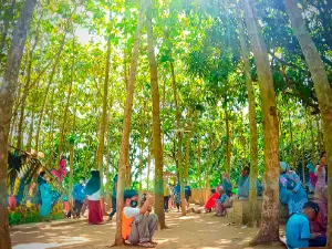 Wisata Kebon Jatidipala