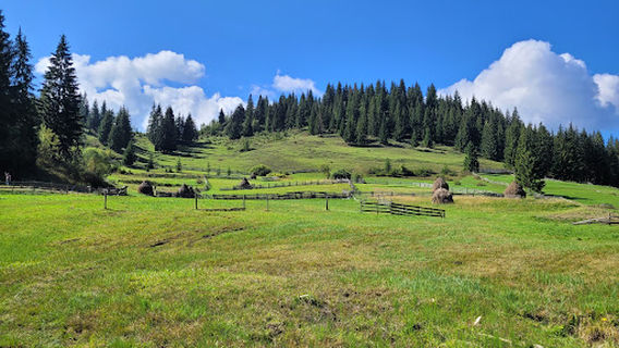Izvorul de apă minerală Dobreanu