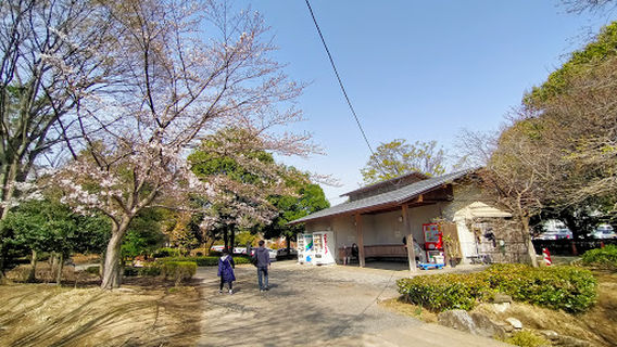 Oyama