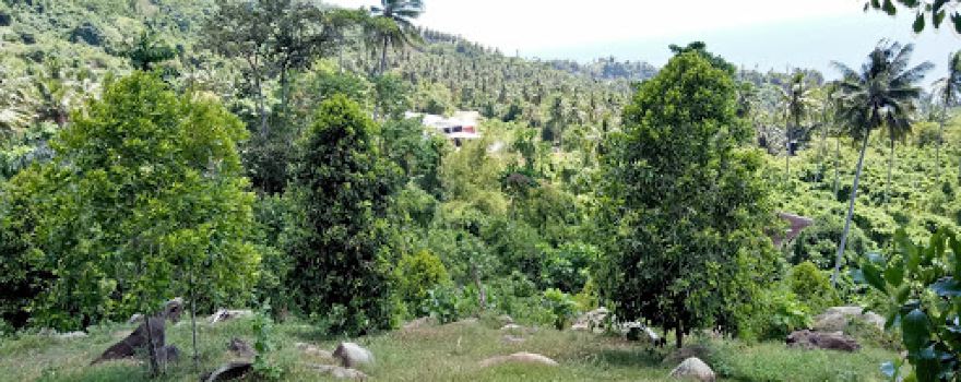 Lapangan Lintidu