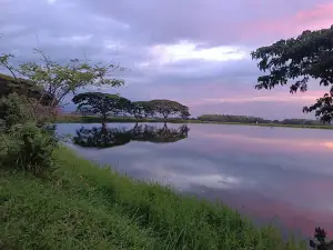 Parque Principal Del Municipio De Miranda