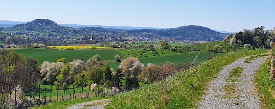 Burg Wildeck