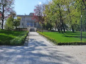 Pałac Niepruszewo