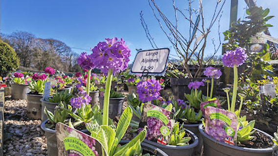 Kirby Park Garden Centre & Coffee Shop