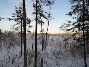 Green Dune Trail