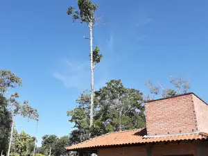 Park Grove Adelino de Moraes