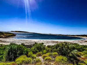 Little Bay