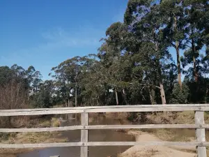 Pista De Ciclismo