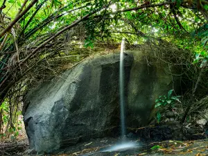 Eco Park Tempero da Serra