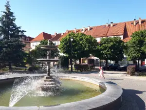 Parafia Podwyższenia Krzyża Świętego w Działdowie