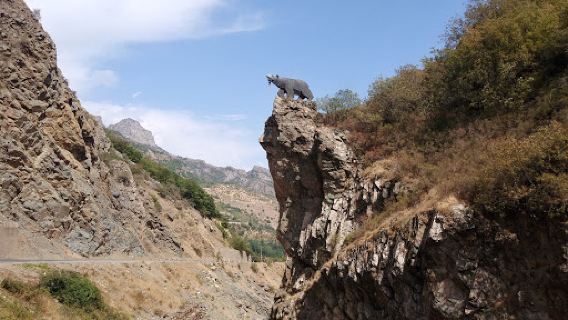Bear symbol of Syunik