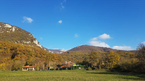 Municipality of Despotovac