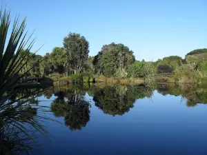Nga Manu Nature Reserve