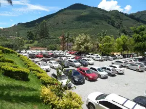 Parque Cachoeira das Andorinhas