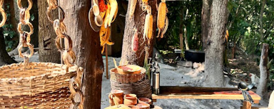 Upe Nai - Living Maya Immersion