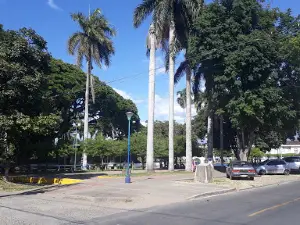Infantil Caicedonia Park