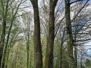 Parcours santé