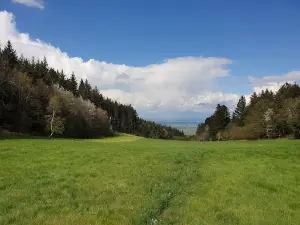 Arboretum des Grands Murcins
