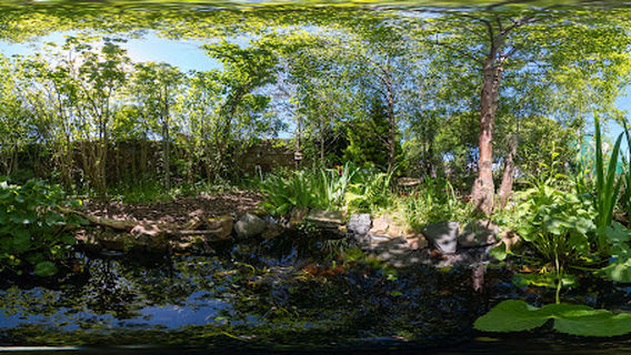 Girvan Community Garden