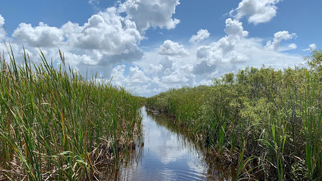 Everglades