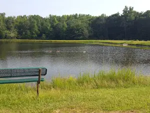 Oglethorpe County Recreation Department