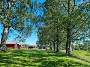 Burträsk Camping & Stugby