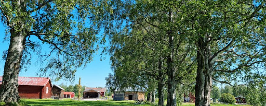 Burträsk Camping & Stugby