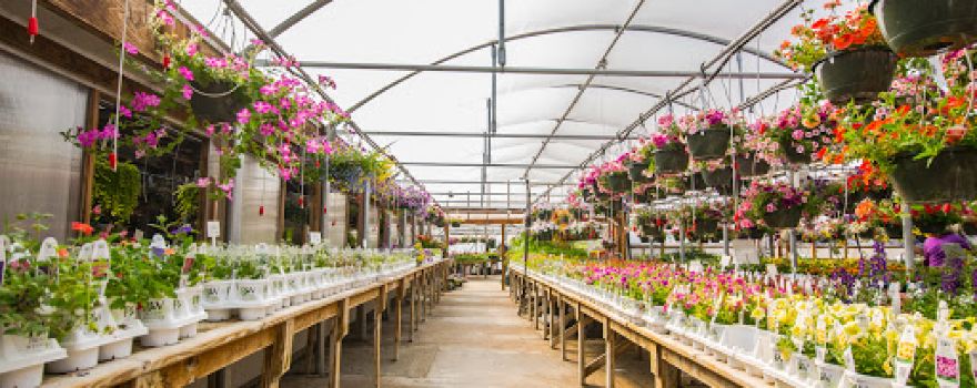 Corn Crib Nursery
