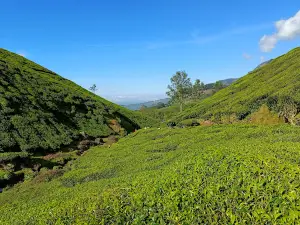 Kolukkumalai Sunrise Jeep Safari