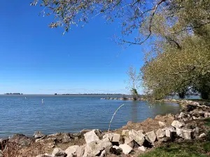 Mitchell's Bay