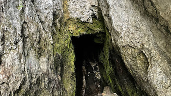 Soča