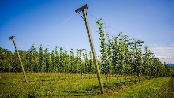 Tatamagouche Brewery