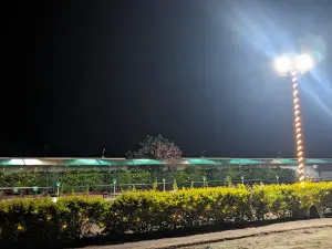 Sri Balaji Palace