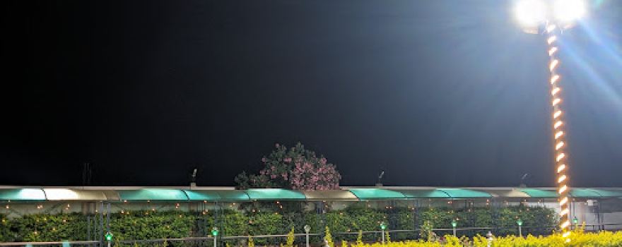 Sri Balaji Palace
