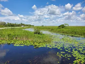 Lacassine National Wildlife Refuge