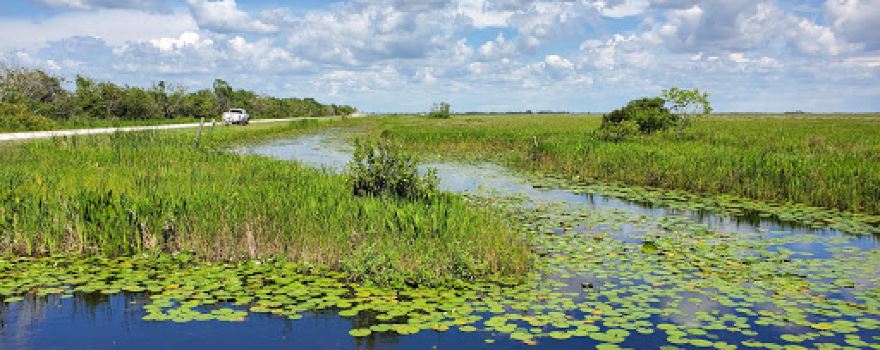 Lacassine National Wildlife Refuge