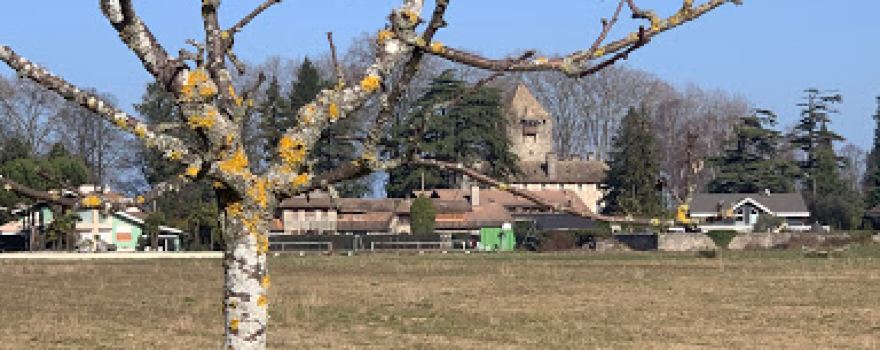 Parcours Aventure de Sciez