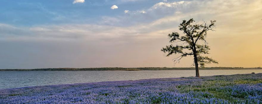 Lake Somerville State Park & Trailway