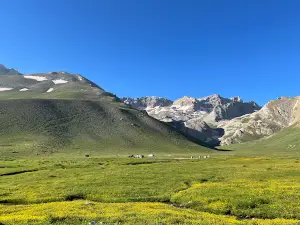 Meydan Yaylası